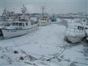 Les bateaux de pêche.